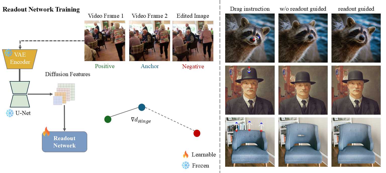 Readout Network Training and Effect